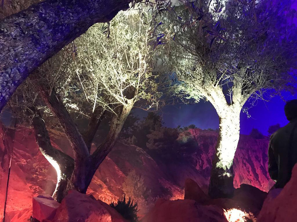 sofos LAB pour Natuzzi