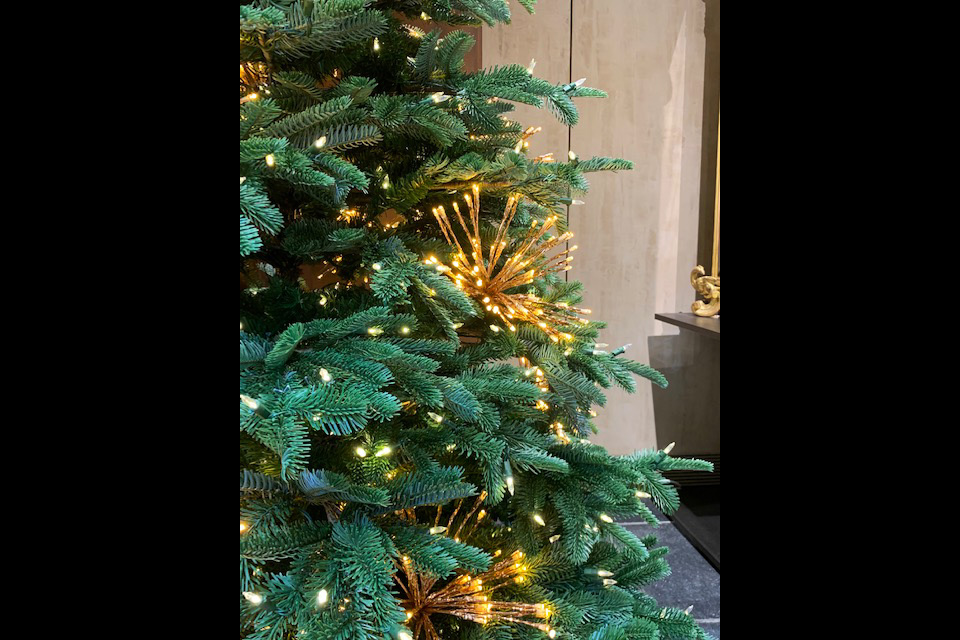 sofos LAB per BUCCELLATI