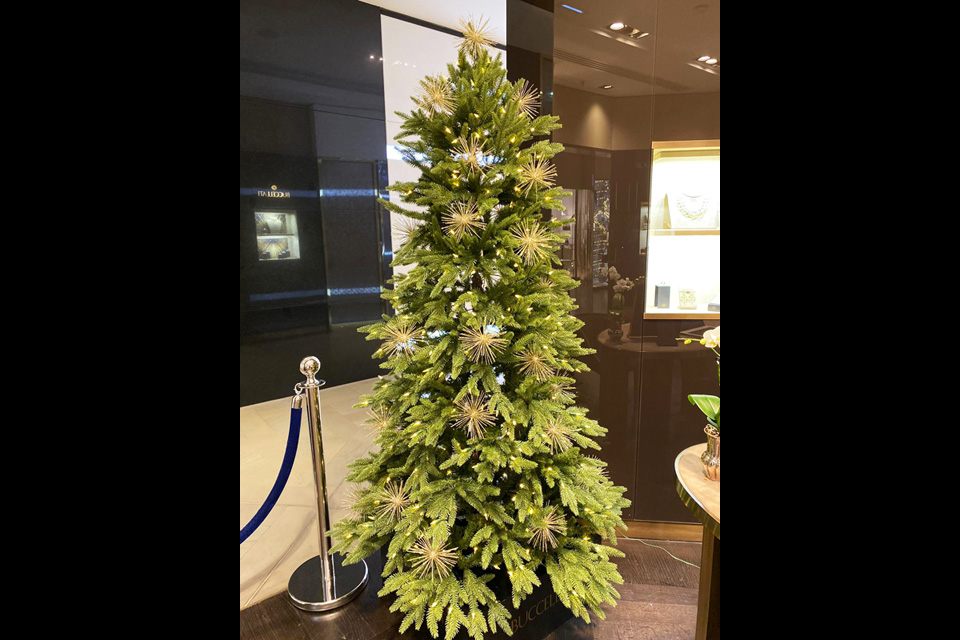 sofos LAB per BUCCELLATI